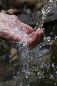 Reaproveitamos a água da chuva nas nossas demandas internas.