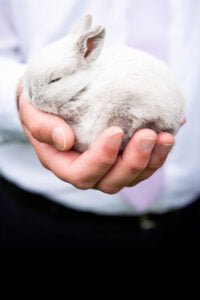 Não realizamos testes em animais nem utilizamos matéria-prima de origem animal.